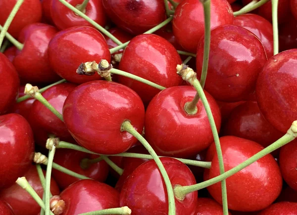 Sebuah Foto Close Dari Ceri Merah — Stok Foto