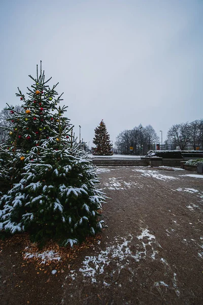 Vackra Julgranarna Dekorerade Med Ornament Och Täckta Snö Parken — Stockfoto