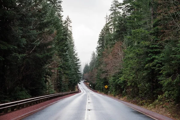 Beautiful Shot Empty Road Hood National Forest Oregon — Stock Photo, Image