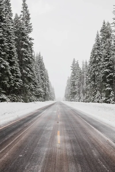 Oregon Daki Umpqua Ulusal Ormanı Ndaki Karlı Yolun Güzel Bir — Stok fotoğraf