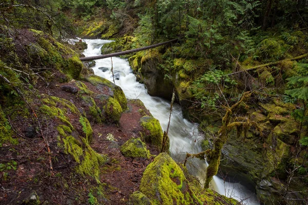 Krásný Záběr Řeku Umpqua Oregonu — Stock fotografie