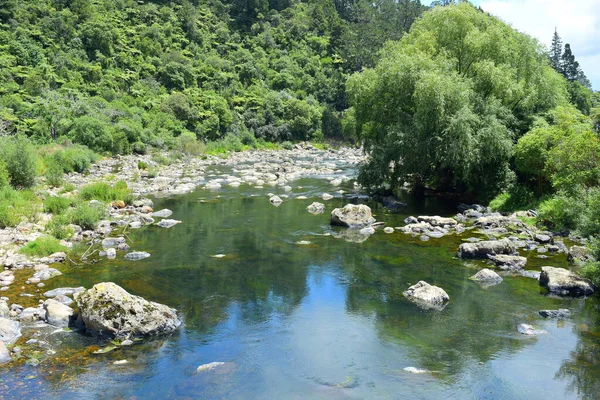 Ποτάμι Φυσικό Περιβάλλον Μια Ηλιόλουστη Μέρα — Φωτογραφία Αρχείου