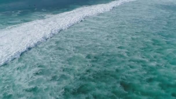 Aerial View Group People Lying Surfboards Beautiful Sea Waves Shot — Αρχείο Βίντεο