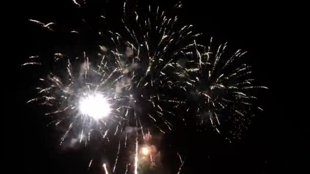 Buntes Feuerwerk Über Der Stadt Der Nacht — Stockvideo