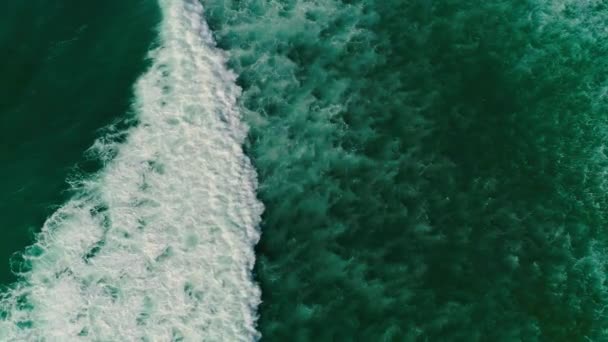 Aerial View Sea River — Stock Video