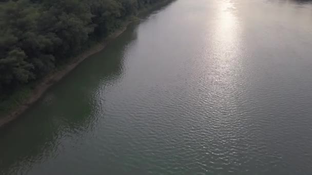 Letecký Pohled Velkou Řeku Mezi Nekonečnými Lesy Slunečného Dne — Stock video