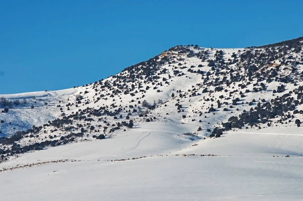 Красивый Снимок Заснеженного Леса Гор Зимний День — стоковое фото