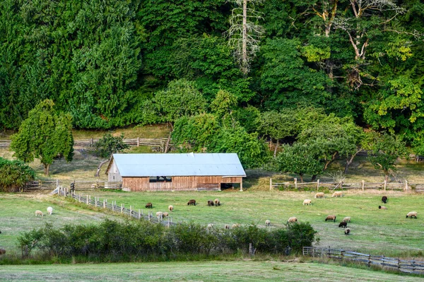 Salt Spring Island カナダ 2021年1月7日 Sloat Spring Island Gulf Islands — ストック写真