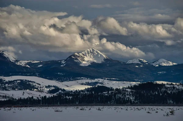 Beau Cliché Forêt Enneigée Des Montagnes Par Une Journée Hiver — Photo