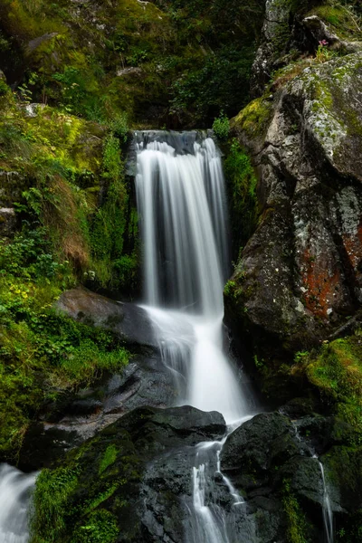 Okouzlující Záběr Krásného Vodopádu Pokrytého Mechem Lese — Stock fotografie