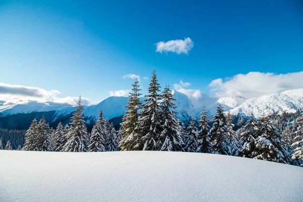 Vacker Bild Ett Snöigt Landskap — Stockfoto