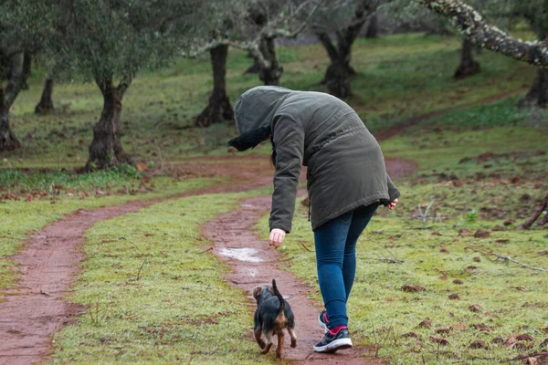 Une Femme Méconnaissable Avec Petit Terrier Australien Marchant Dans Parc — Photo