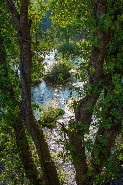 Spojrzenie Rzekę Przez Gałęzie — Zdjęcie stockowe