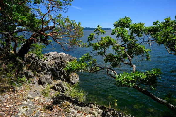 Pantai Yeo Point Dikelilingi Oleh Hijau Dan Laut Salt Spring — Stok Foto