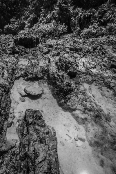 Вертикальний Сіро Коричневий Знімок Бруду Каменів Рослин Полі — стокове фото