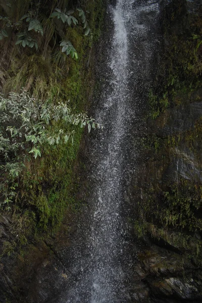 Egy Függőleges Lövés Egy Kis Vízesésről Erdőben — Stock Fotó