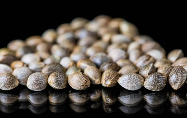Selective Focus Cannabis Seeds Reflecting Surface — Stock Photo, Image