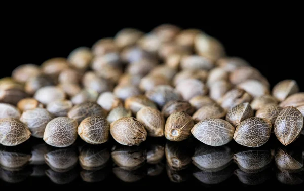 Ett Selektivt Fokus Cannabisfrön Reflekterande Yta — Stockfoto