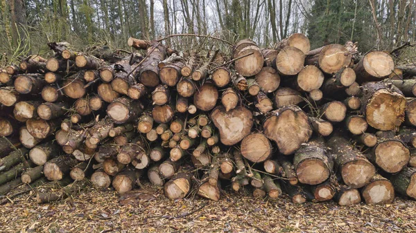 Ein Schuss Brennholzstapel Der Natur — Stockfoto