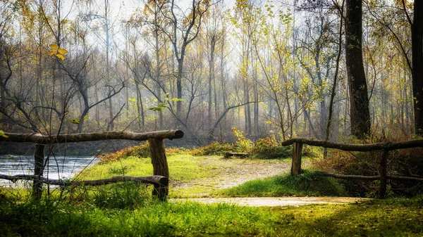 Beau Cliché Une Clôture Bois Près Lac Dans Une Forêt — Photo