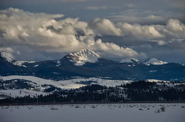 Bir Kış Günü Karla Kaplı Orman Dağların Güzel Bir Görüntüsü — Stok fotoğraf