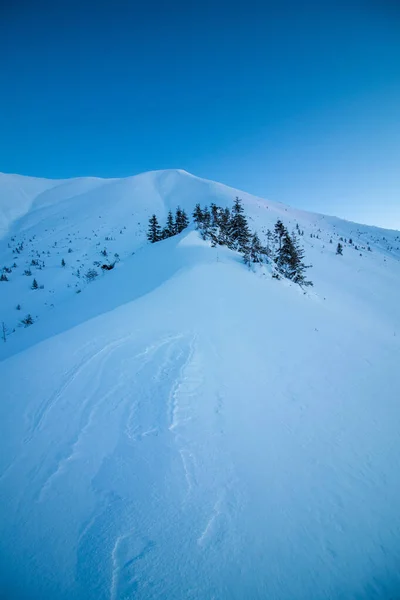 Beautiful Shot Snowy Landscape — Stock Photo, Image