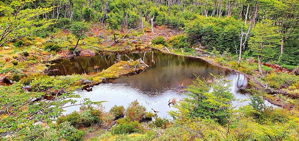 Een Prachtig Shot Van Een Natuurlijk Landschap — Stockfoto