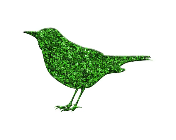Glittrig Grön Fågel Vit Isolerad Bakgrund — Stockfoto