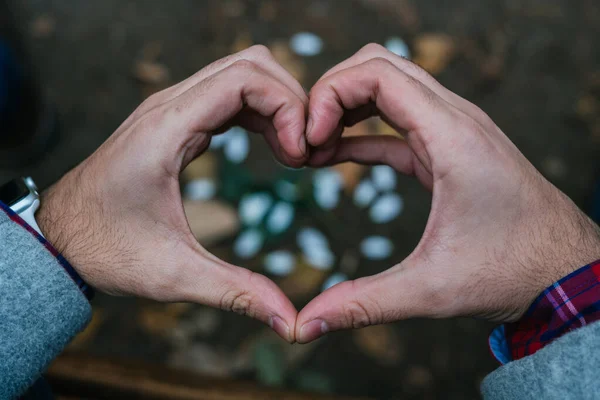 Selektiv Fokusbild Mannens Hand Som Visar Hjärtform Med Vita Kronblad — Stockfoto