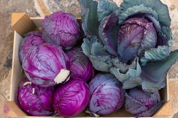 Une Photo Aérienne Choux Violets Dans Une Boîte Bois Placée — Photo