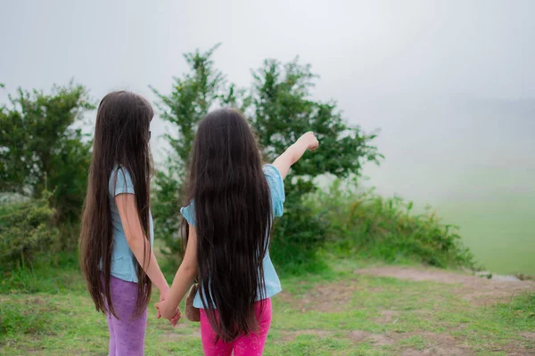 Piękne Ujęcie Dwóch Nierozpoznawalnych Długowłose Dziewczyny Wskazujące Kierunek Parku — Zdjęcie stockowe