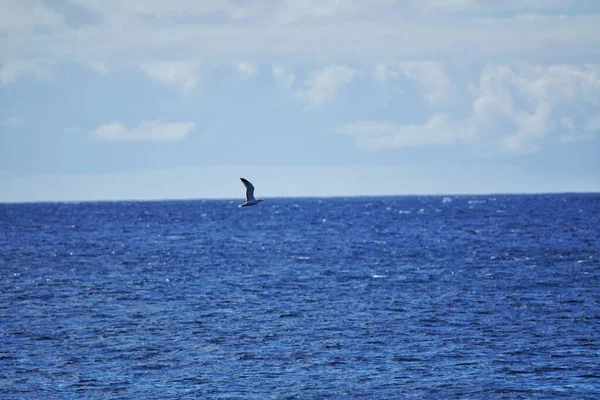 Een Prachtig Shot Van Een Blauwe Zee — Stockfoto