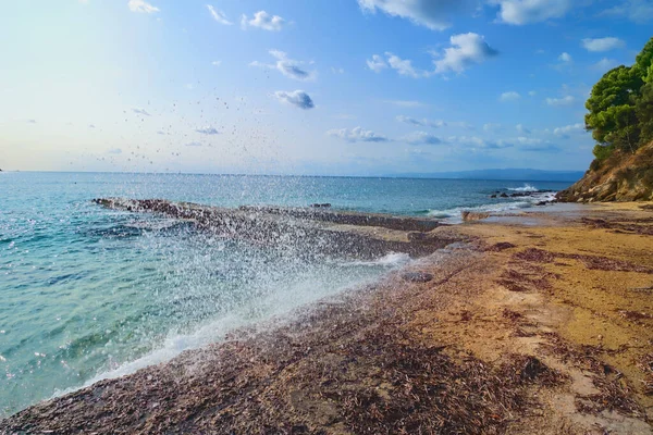 ギリシャのスキアトス島のエーゲ海とコクーナリアビーチ — ストック写真