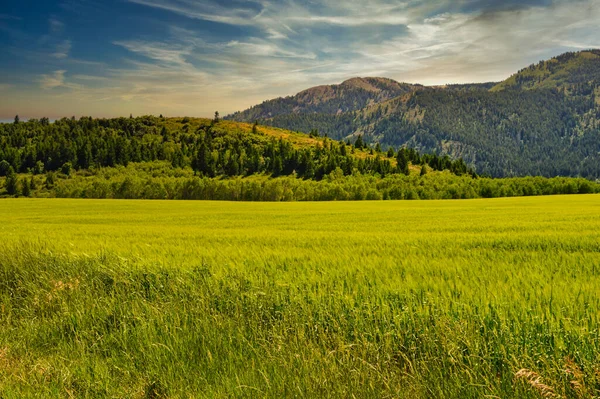 Eine Faszinierende Aufnahme Einer Wunderschönen Berglandschaft Einem Sonnigen Tag — Stockfoto