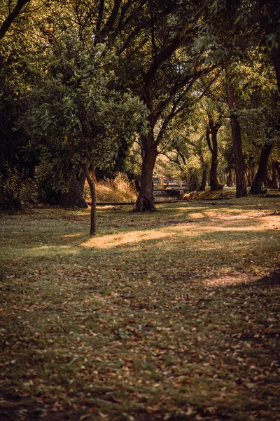 Parc Automne Dans Ville — Photo