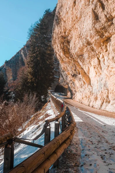 Plan Vertical Une Route Montagne Asphaltée Recouverte Neige Jour Hiver — Photo