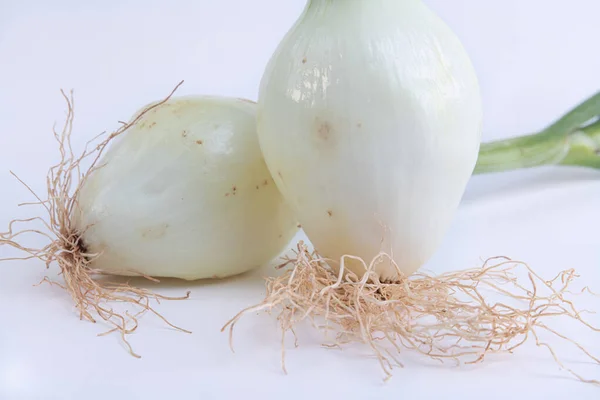 Primer Plano Cebolletas Maduras Aisladas Sobre Fondo Blanco —  Fotos de Stock