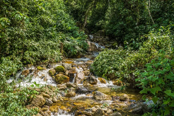 Una Bella Foto Fiume Montagna Circondato Alberi — Foto Stock