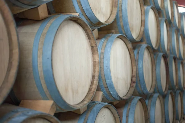 Tiro Seletivo Foco Barris Vinho Uma Abóbada Vinho — Fotografia de Stock