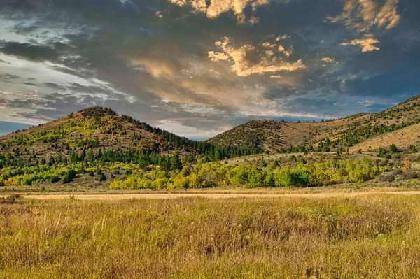 緑に覆われた丘の上に夕日の美しいショット — ストック写真