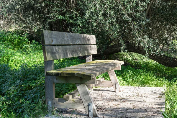 Nahaufnahme Einer Alten Holzbank Auf Einem Grünen Feld Sonnenlicht — Stockfoto