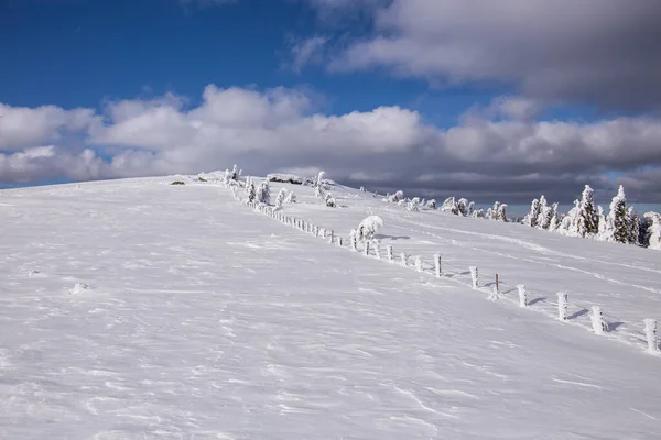 Avustralya Dağlarında Karlı Kış Manzarası — Stok fotoğraf