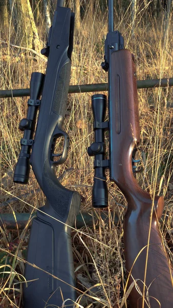 屋外の地面に2つのライフル狩猟武器の垂直ショット — ストック写真