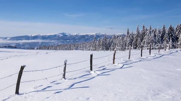 Piękny Zimowy Krajobraz Ogrodzeniem Położony Górach Austrii — Zdjęcie stockowe