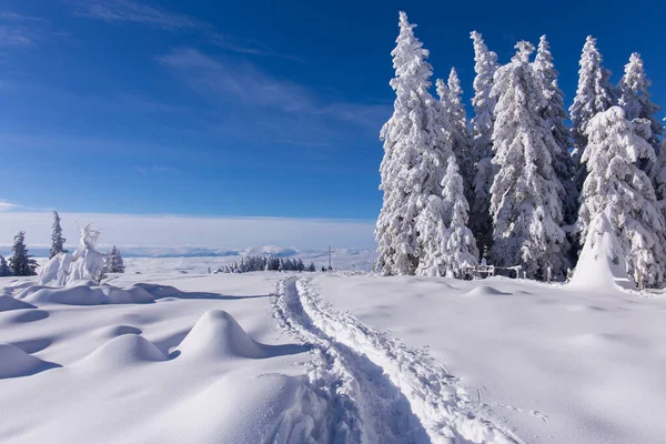 Footsteps in snow covered mountain landscape in Austria