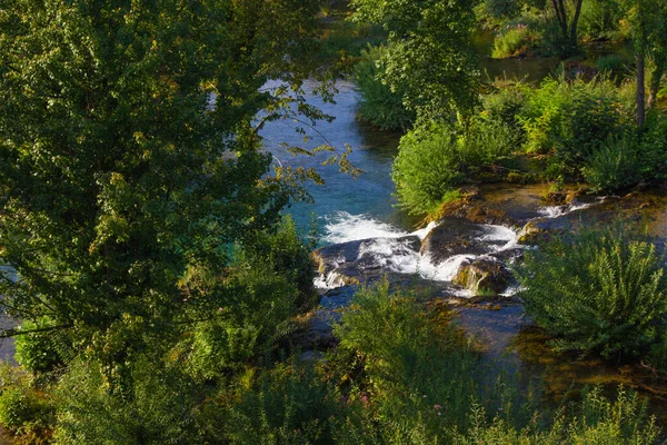 Fonte Rio Vegetação Verde — Fotografia de Stock