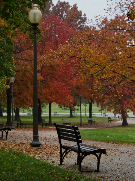 Krásný Záběr Lavičky Podzimním Parku — Stock fotografie