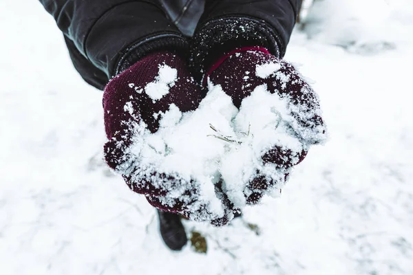 Primer Plano Manos Sosteniendo Nieve — Foto de Stock