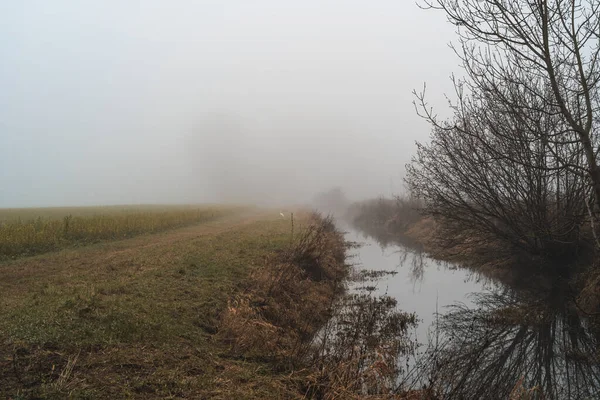 Potok Drzewa Polu Mglisty Dzień — Zdjęcie stockowe