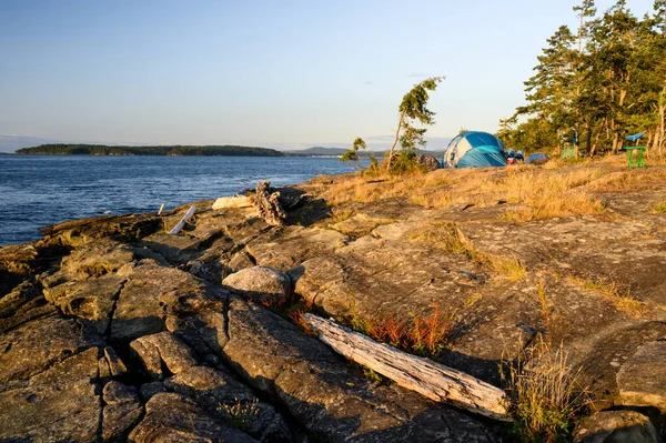 Ruckle Provincial Park Surrounded Tents Sea Sunlight Salt Spring Island — Stock Photo, Image